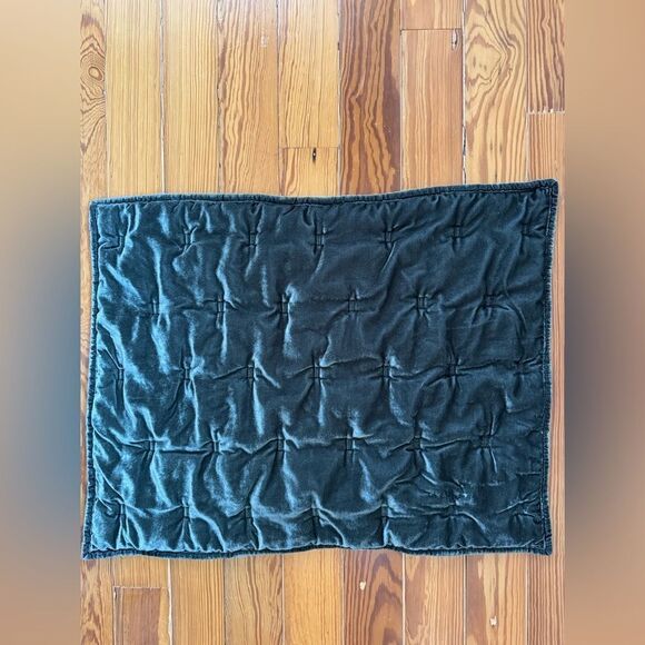 West Elm Pillowsham - Picture 1 of 5